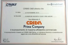 CRIBIS Prime Company